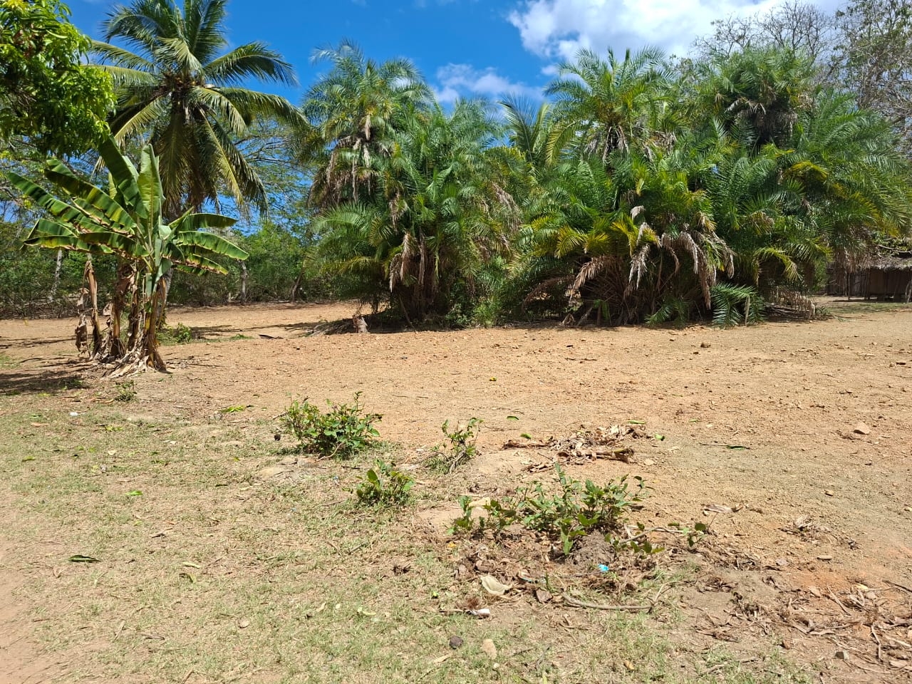 Terrain proche de la mer au Nord de Nosy Be