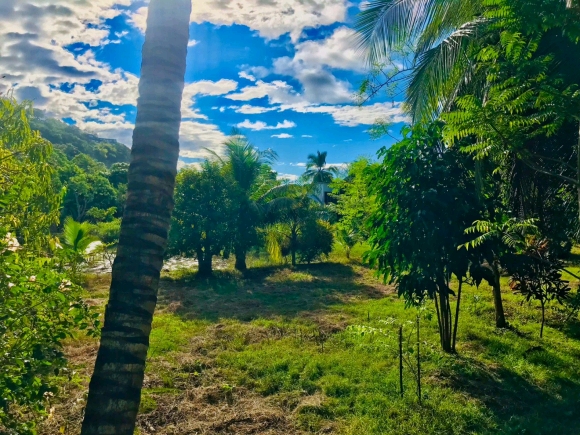 À louer en location-gérance- Domaine exceptionnel à proximité de la plage