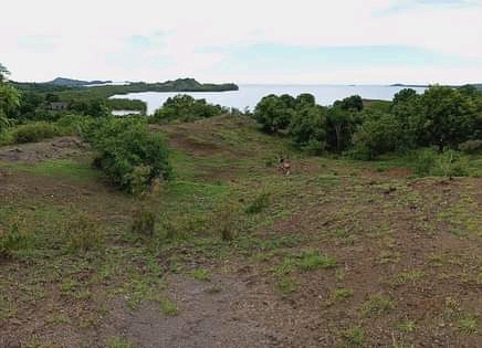 Grand terrain avec plage à prix cassé !