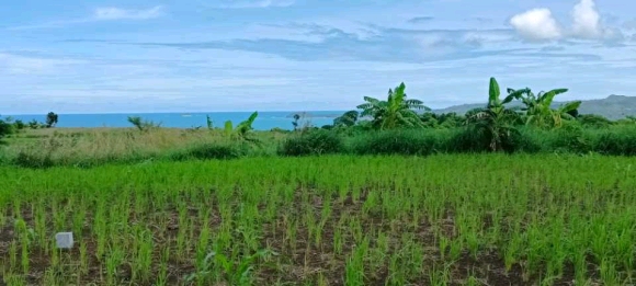 OPPORTUNITE D'INVESTISSEMENT: Domaine Résidentiel Vue Mer