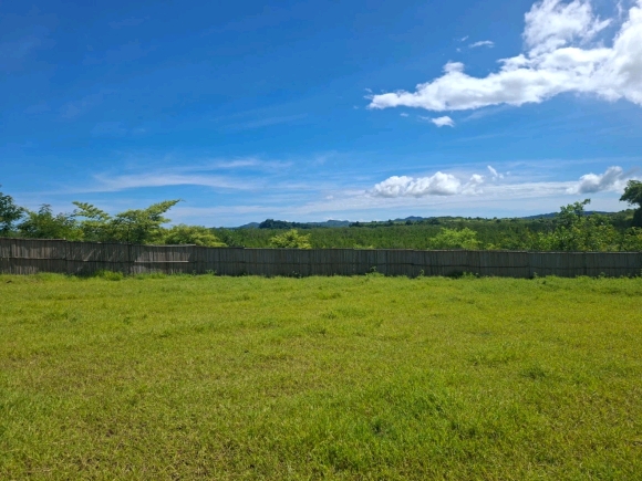 Opportunité foncière : 3 350 m² de potentiel pur face à la mangrove