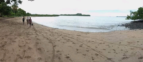 Grand terrain avec plage à prix cassé !