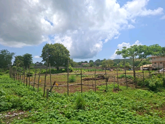 Nosy Be / Hell-Ville : L'équilibre parfait entre vie urbaine et sérénité résidentielle