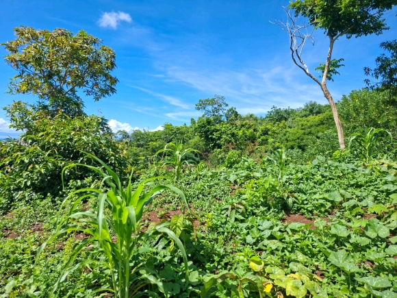 VUE MER & PETIT PRIX : VOTRE FUTUR ÉCRIN À NOSY BE