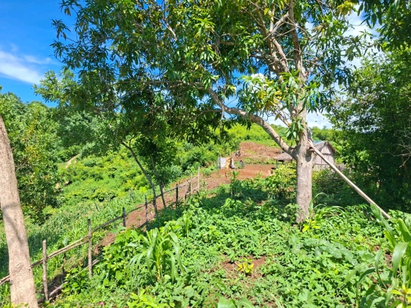 VUE MER & PETIT PRIX : VOTRE FUTUR ÉCRIN À NOSY BE