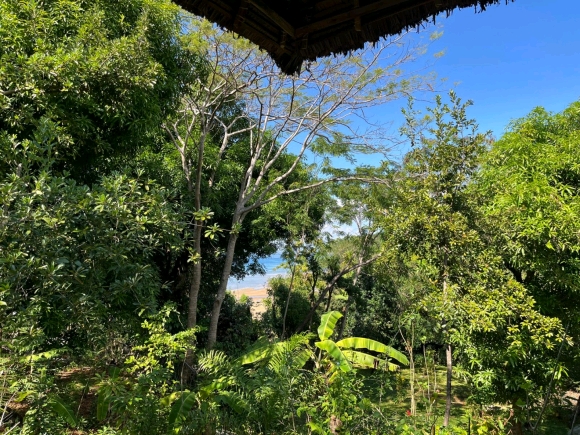 À VENDRE – Magnifique propriété à 20 m de la plage sur Nosy Komba