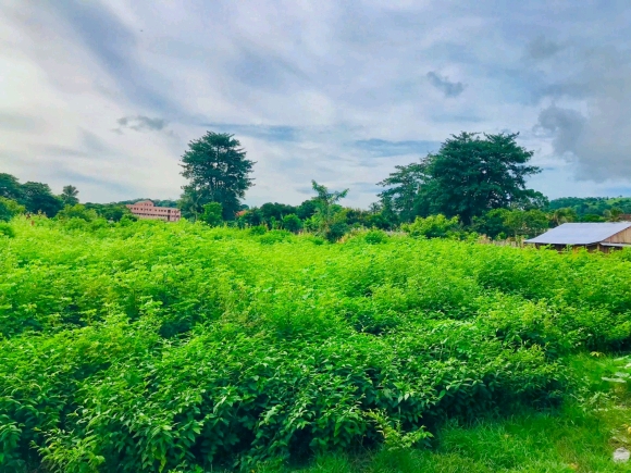 A Louer -Grand terrain de 9.876 m2 en pleine ville-Emplacement stratégique