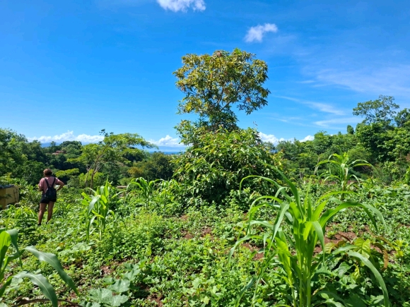VUE MER & PETIT PRIX : VOTRE FUTUR ÉCRIN À NOSY BE