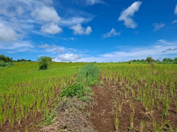 OPPORTUNITE D'INVESTISSEMENT: Domaine Résidentiel Vue Mer