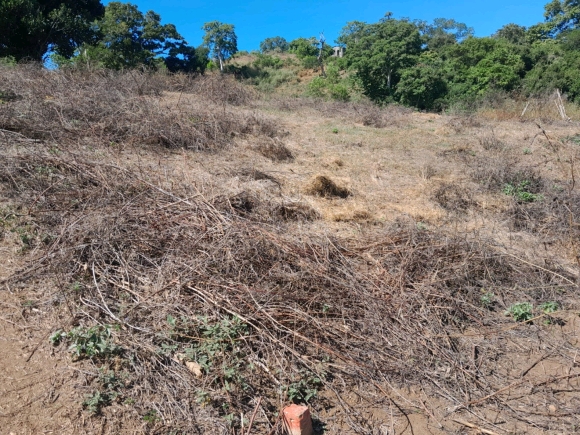 À VENDRE : Terrain d'Exception dans un Quartier Calme !