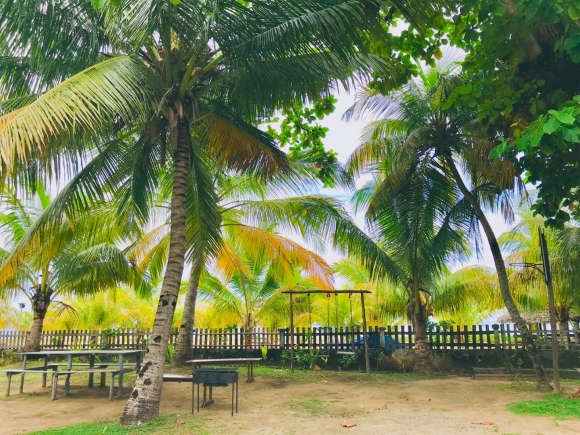 A louer-Villas en copropriété meublées, pied dans l'eau avec jardin