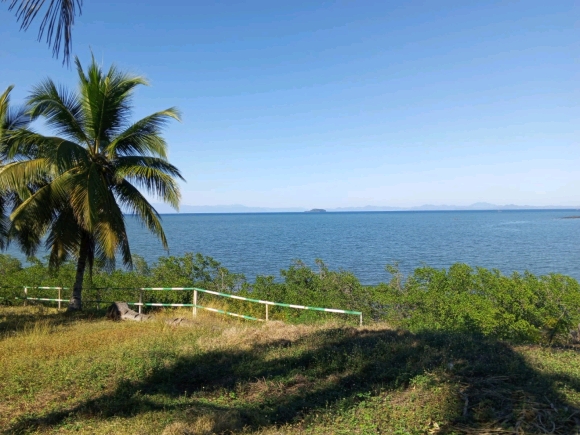 Votre Eden privé: Front de Mer, Cocotier et Vue Panoramique!