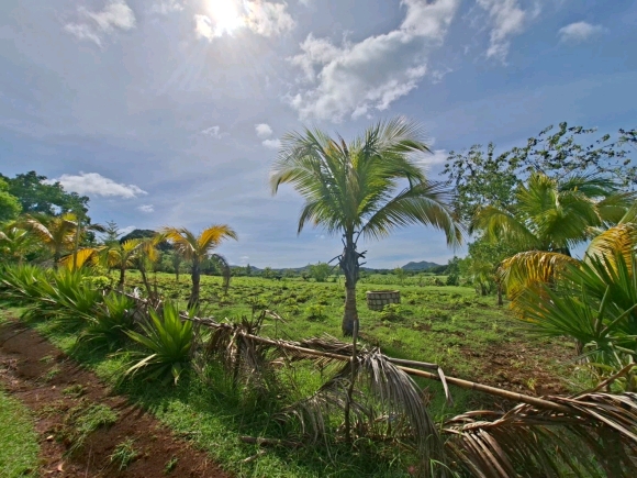 COUP DE COEUR: Votre Domaine Vue Mer dans un quartier résidentiel !