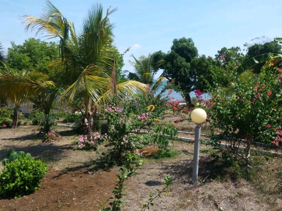 Emplacement d’Exception Pieds dans l’Eau: Domaine de 3936 m² Faces aux Îles Mitsio