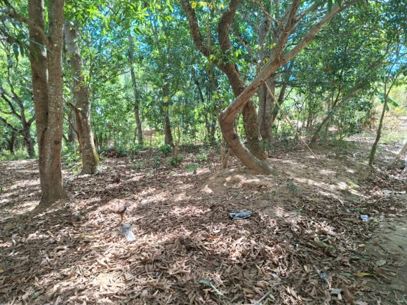 Terrain proche de la mer au Nord de Nosy Be