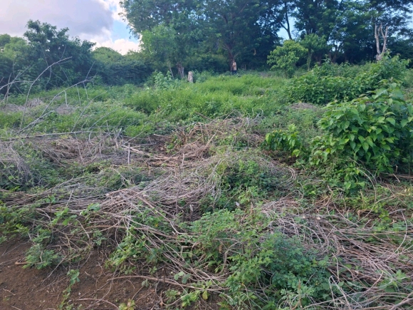 Terrain Pieds dans l’Eau avec Vue Panoramique – Nosy Faly