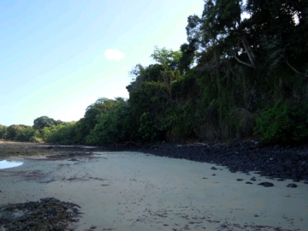 A vendre, terrain situé au bord de la plage d'Ampasindava