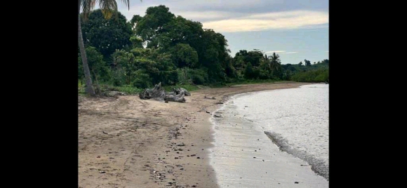 Grand terrain avec plage à prix cassé !