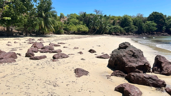 ​À vendre : Terrain plat en bord de plage sur une île paradisiaque !