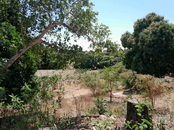 TERRAIN AVEC VUE MER ET VUE SUR LA CAMPAGNE DANS UN  QUARTIER CALME PAS LOIN DE LA PLAGE