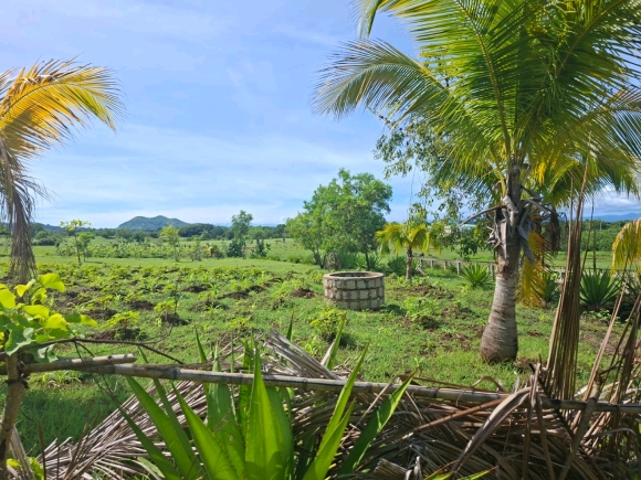COUP DE COEUR: Votre Domaine Vue Mer dans un quartier résidentiel !