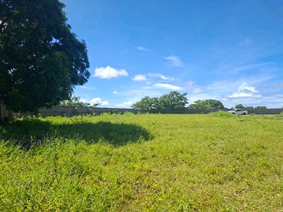 Opportunité foncière : 3 350 m² de potentiel pur face à la mangrove