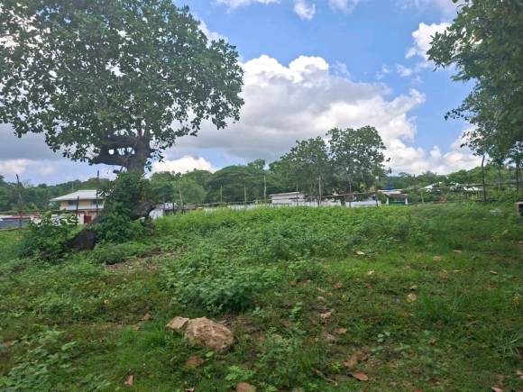 Nosy Be / Hell-Ville : L'équilibre parfait entre vie urbaine et sérénité résidentielle