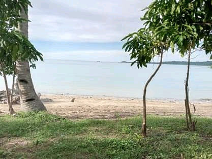 Grand terrain avec plage à prix cassé !