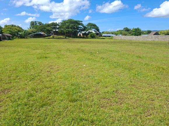 Opportunité investisseur: Grand terrain à haut potentiel près d'Andilana!