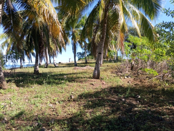 Votre Eden privé: Front de Mer, Cocotier et Vue Panoramique!