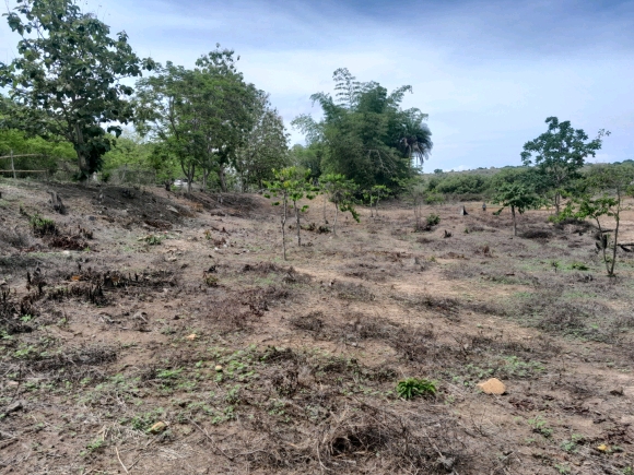 À vendre : Terrain de 2000 m² en bord de route et proche de la mer à ne pas manquer