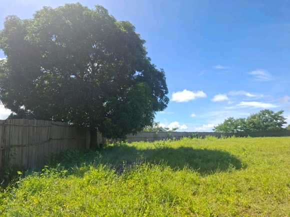 Opportunité foncière : 3 350 m² de potentiel pur face à la mangrove