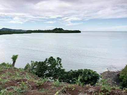 Grand terrain avec plage à prix cassé !