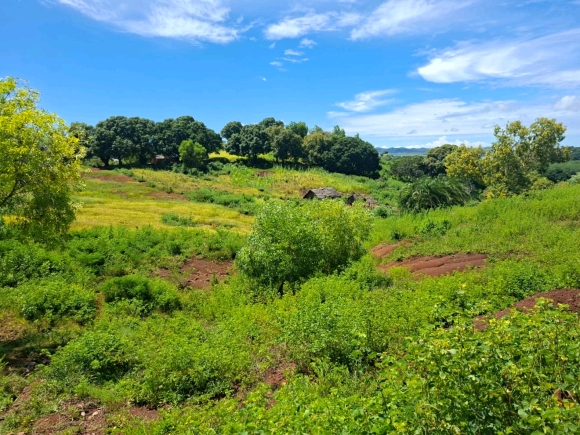 Terrain proche de la mer avec une merveilleuse vue panoramique dans un secteur en pleine