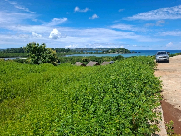 Terrain proche de la mer avec une merveilleuse vue panoramique dans un secteur en pleine