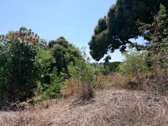 TERRAIN AVEC VUE MER ET VUE SUR LA CAMPAGNE DANS UN  QUARTIER CALME PAS LOIN DE LA PLAGE