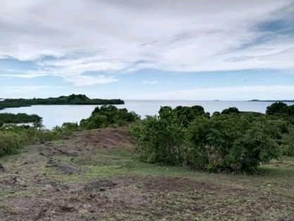 Grand terrain avec plage à prix cassé !