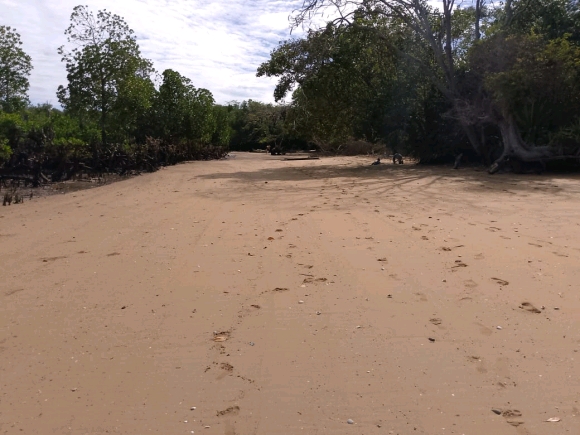 OPPORTUNITÉ RARE – TERRAIN PIEDS DANS L’EAU À ANTAFIANAMBITRY, NOSY BE