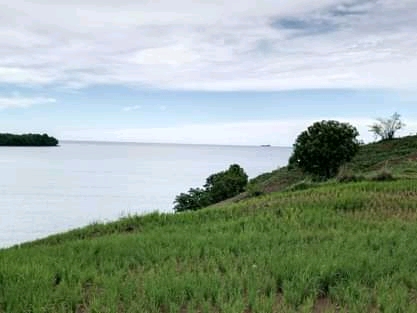 Grand terrain avec plage à prix cassé !