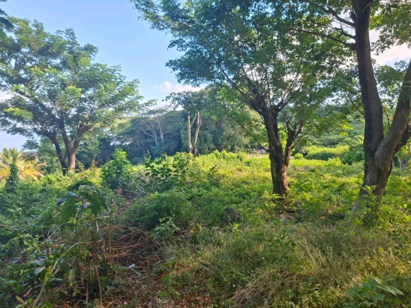 Terrain Pieds dans l’Eau avec Vue Panoramique – Nosy Faly