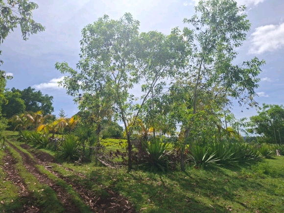 COUP DE COEUR: Votre Domaine Vue Mer dans un quartier résidentiel !