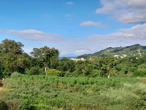 EN EXCLUSIVITE: Votre futur cocon à 10 mn du centre-ville !