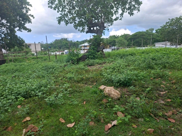 Nosy Be / Hell-Ville : L'équilibre parfait entre vie urbaine et sérénité résidentielle