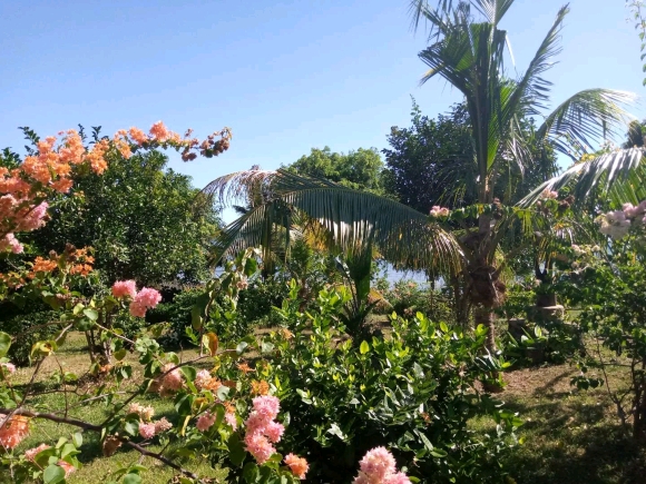 Emplacement d’Exception Pieds dans l’Eau: Domaine de 3936 m² Faces aux Îles Mitsio