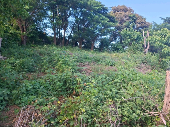 Terrain Pieds dans l’Eau avec Vue Panoramique – Nosy Faly