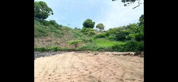 Grand terrain avec plage à prix cassé !