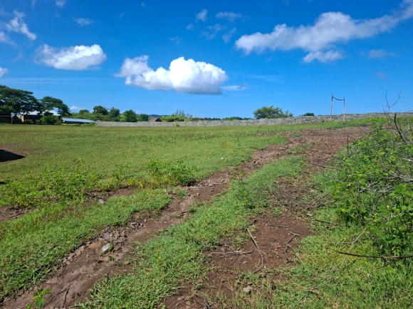 Opportunité investisseur: Grand terrain à haut potentiel près d'Andilana!