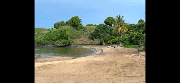 Grand terrain avec plage à prix cassé !