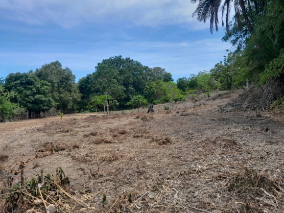 À vendre : Terrain de 2000 m² en bord de route et proche de la mer à ne pas manquer