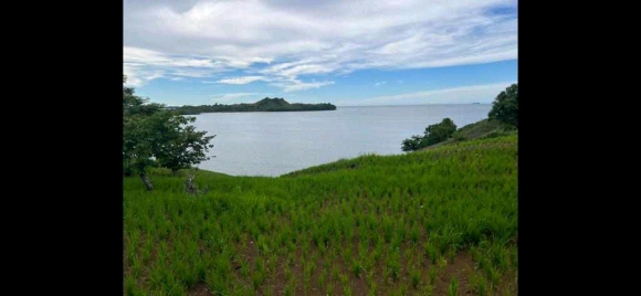 Grand terrain avec plage à prix cassé !